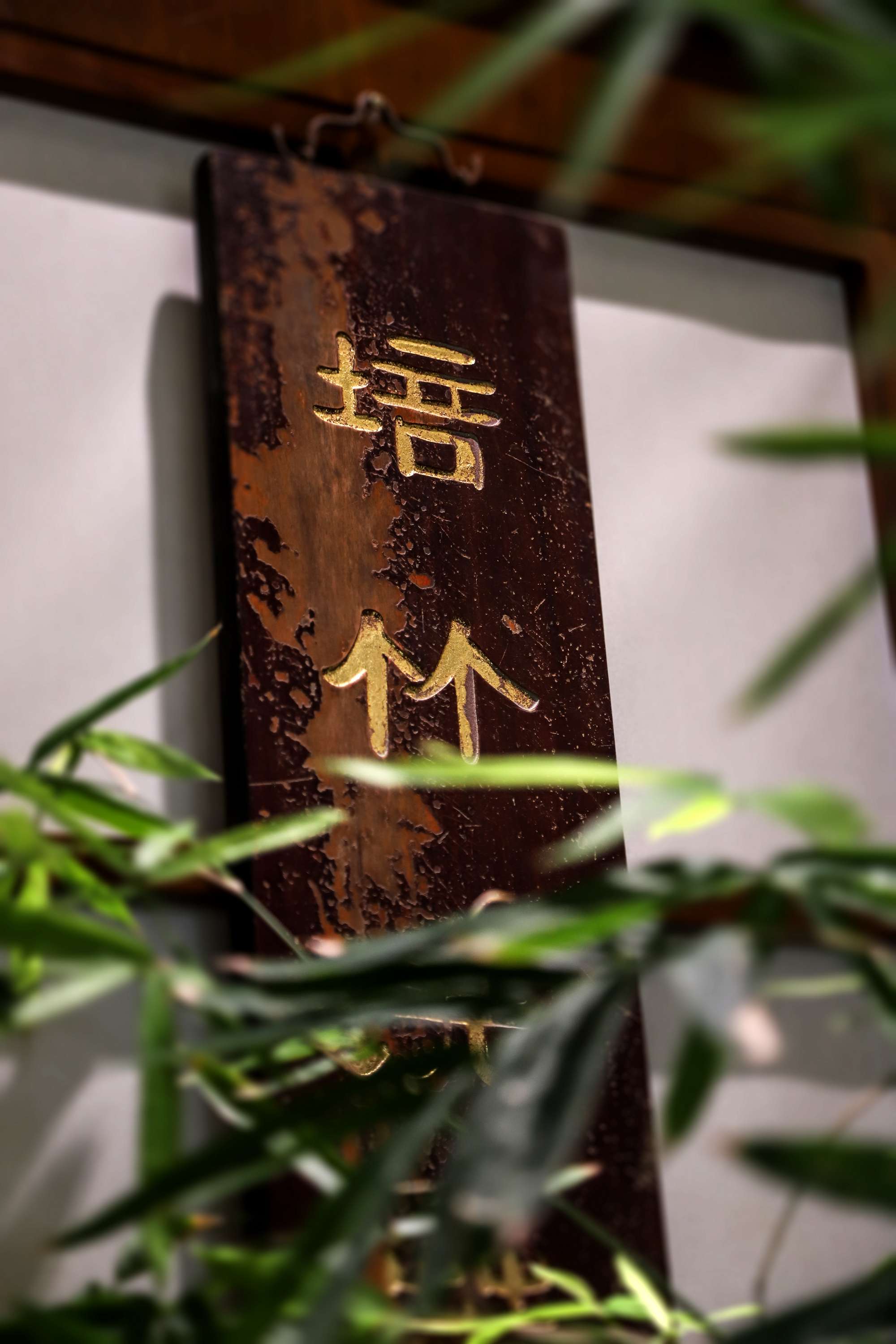 茶空间拍摄