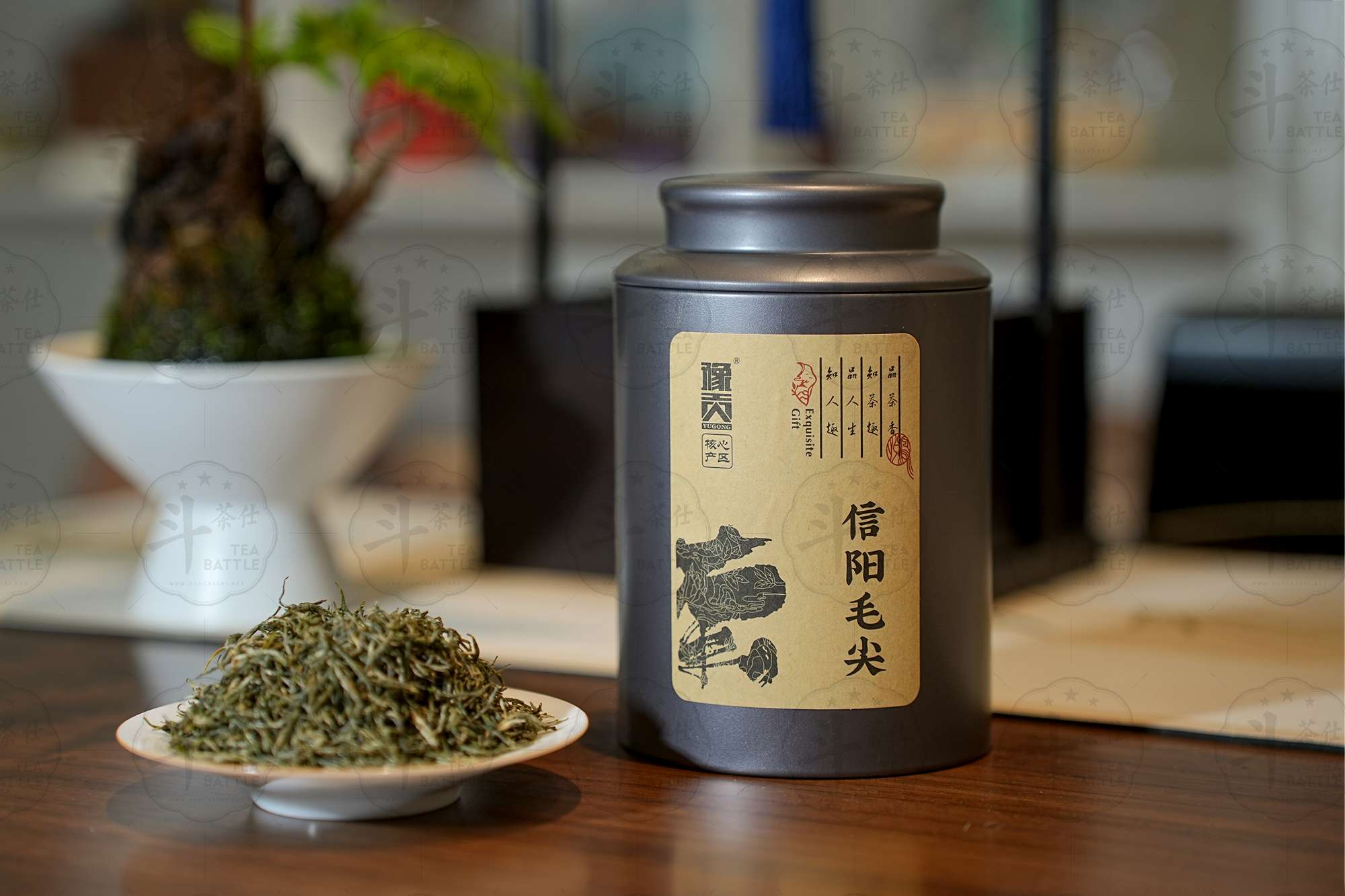 2024年春茶信阳毛尖-单铁罐-仿古-豫贡