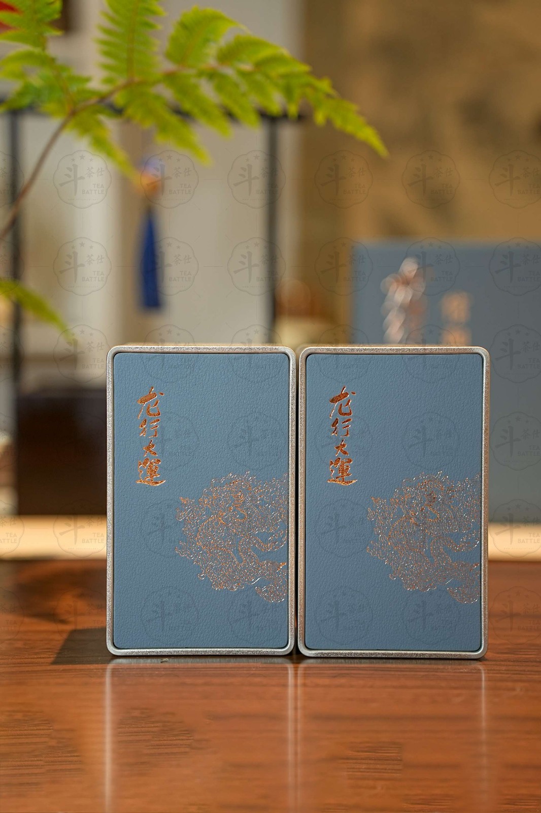 2024年信阳毛尖春茶礼盒-龙行大运