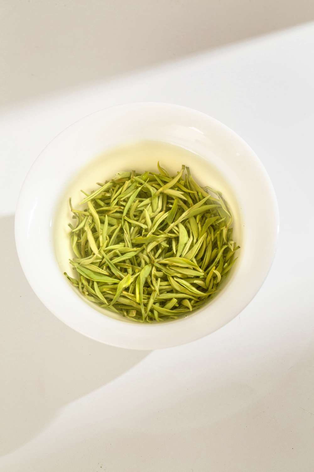 吾在田-信阳毛尖-绿茶-产品拍摄