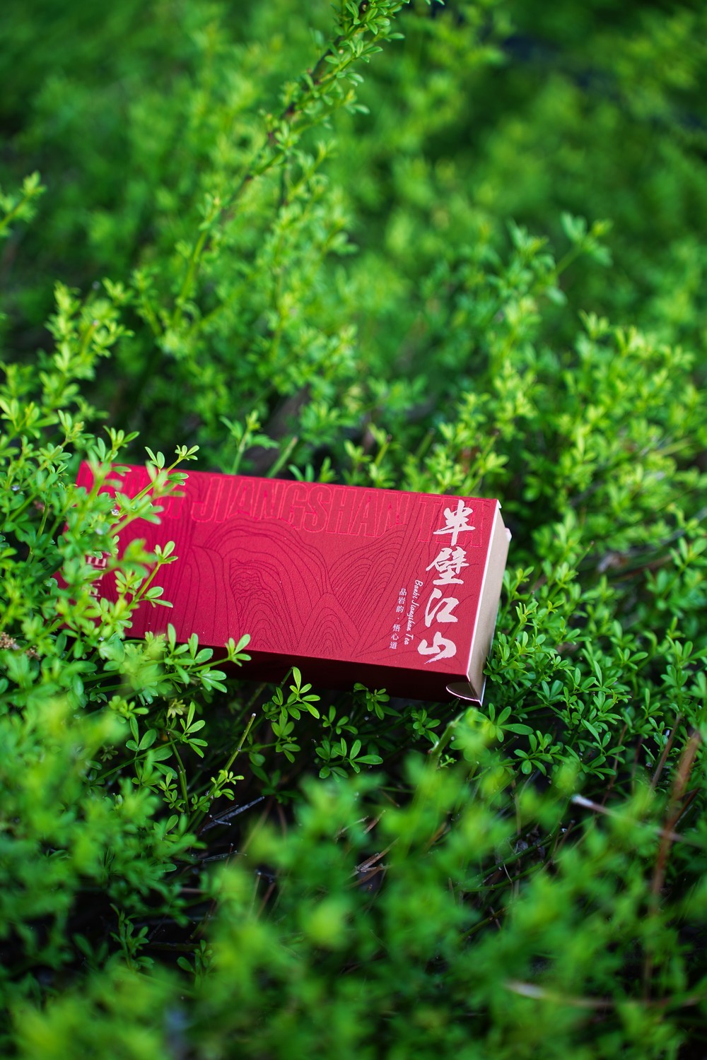 岩悟-半壁江山-高端岩茶-产品拍摄