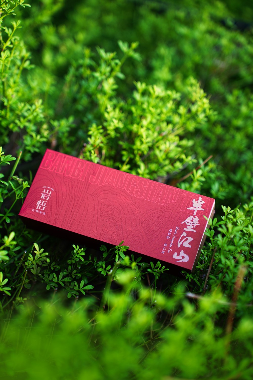 岩悟-半壁江山-高端岩茶-产品拍摄