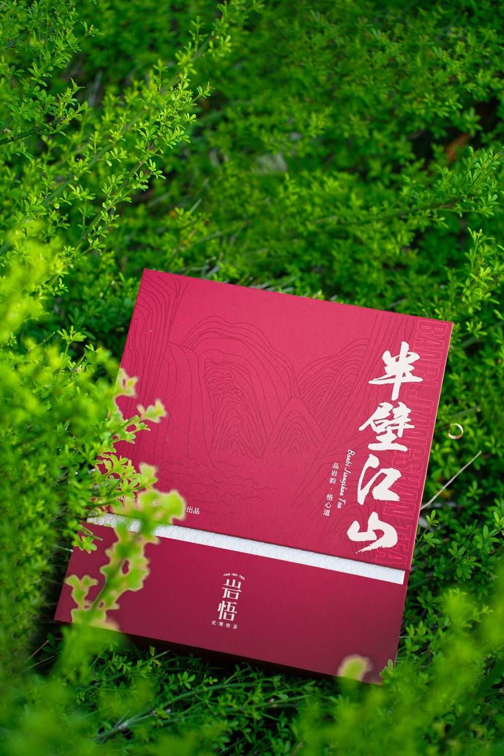 岩悟-半壁江山-高端岩茶-产品拍摄