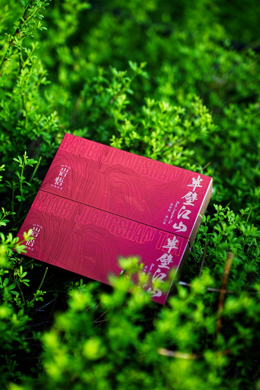 岩悟-半壁江山-高端岩茶-产品拍摄