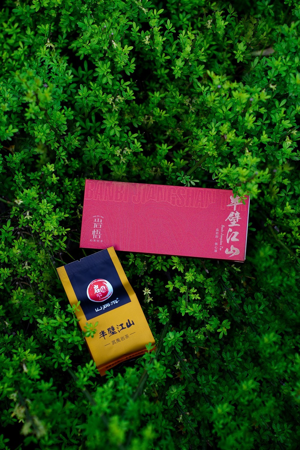 岩悟-半壁江山-高端岩茶-产品拍摄