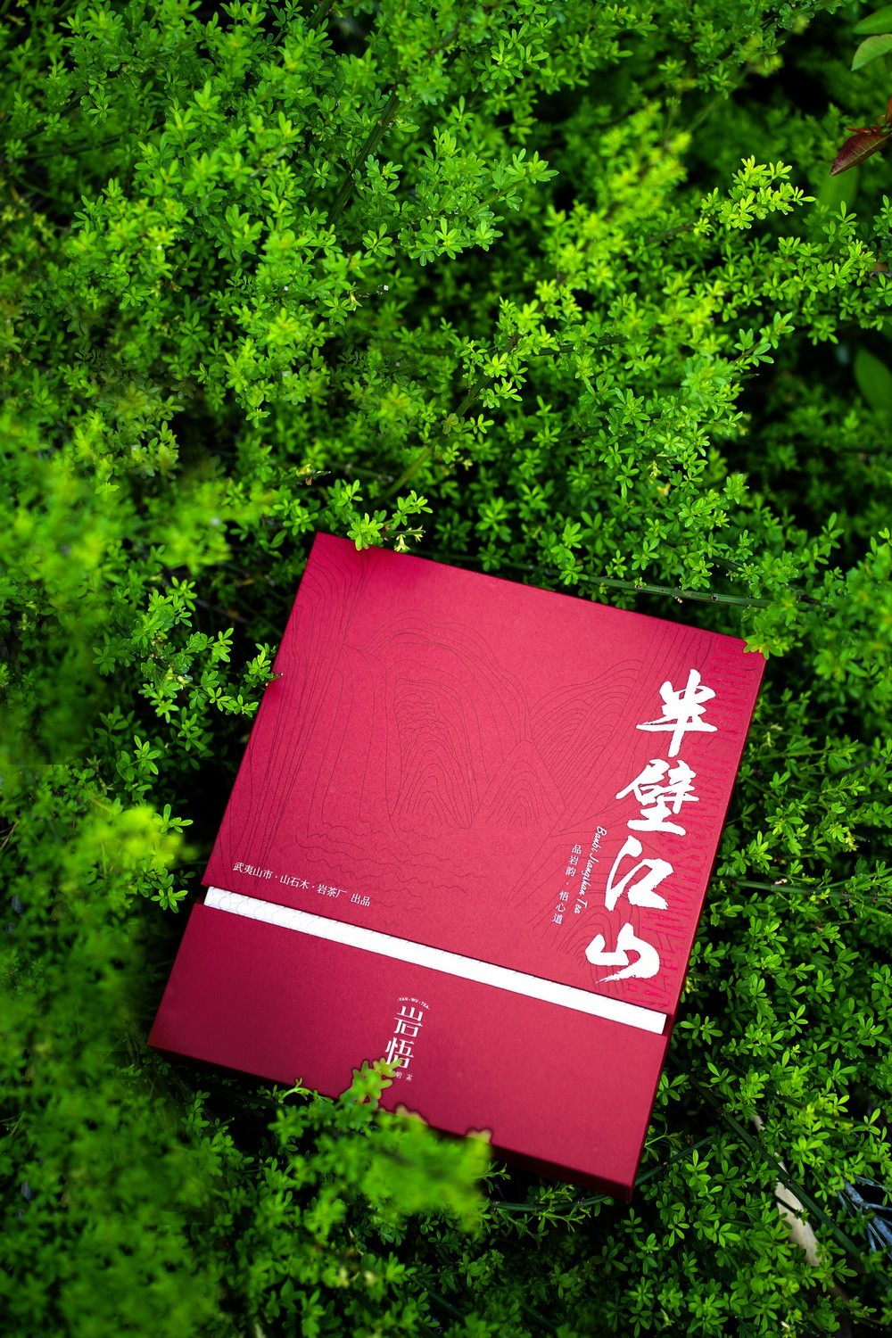 岩悟-半壁江山-高端岩茶-产品拍摄