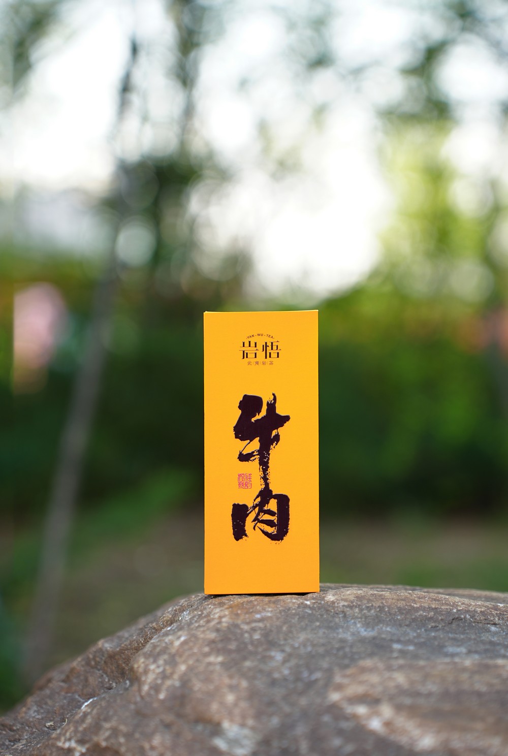岩悟-岩茶牛肉-岩茶-产品拍摄