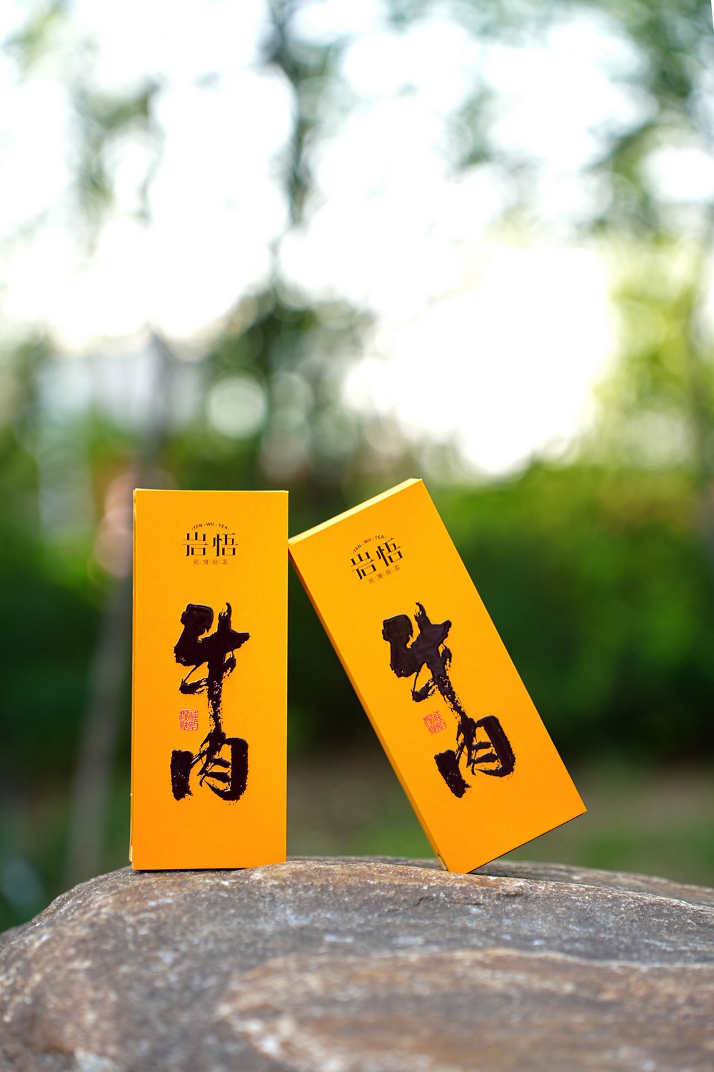岩悟-岩茶牛肉-岩茶-产品拍摄