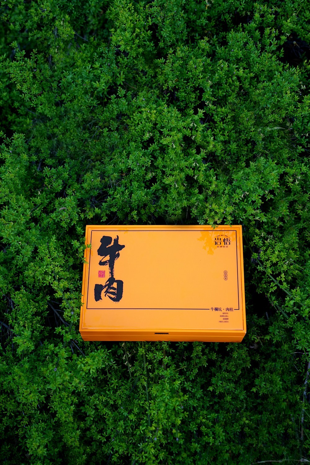 岩悟-岩茶牛肉-岩茶-产品拍摄