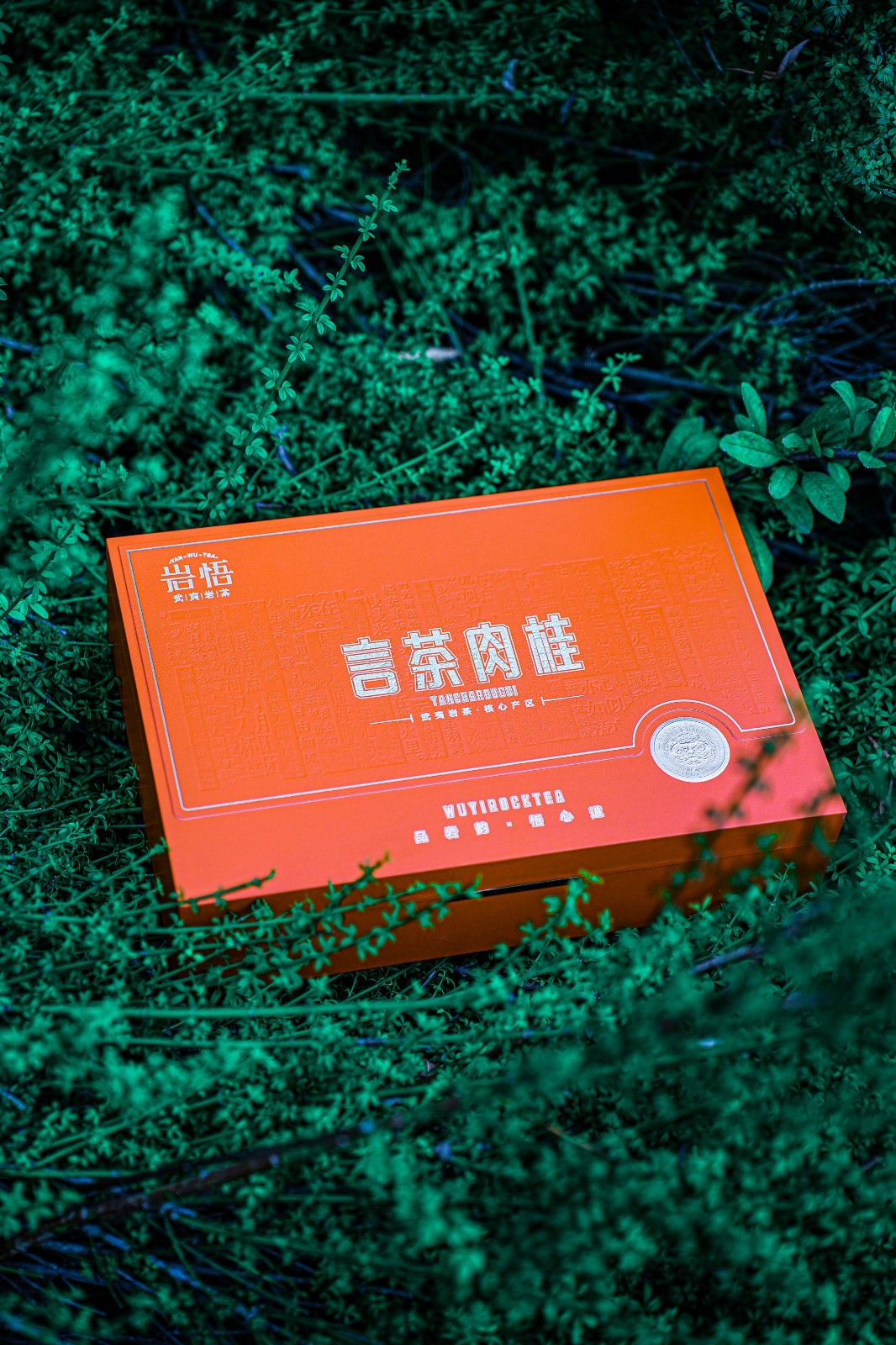 岩悟岩茶-言茶大红袍&言茶肉桂-产品拍摄