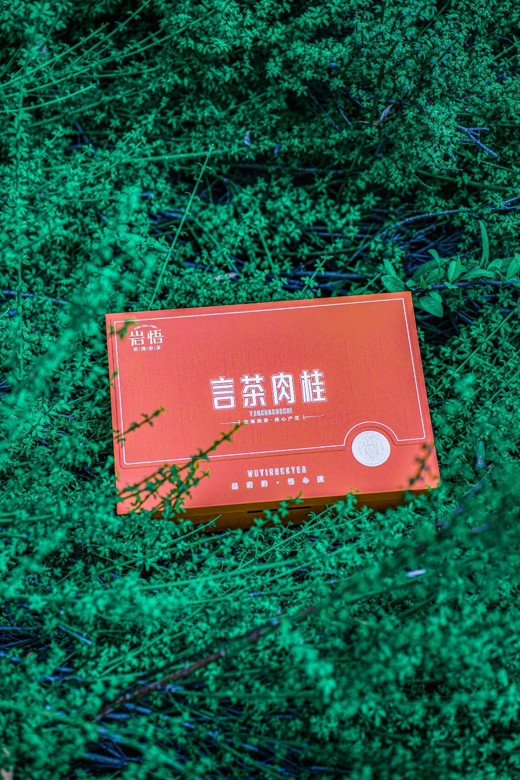 岩悟岩茶-言茶大红袍&言茶肉桂-产品拍摄