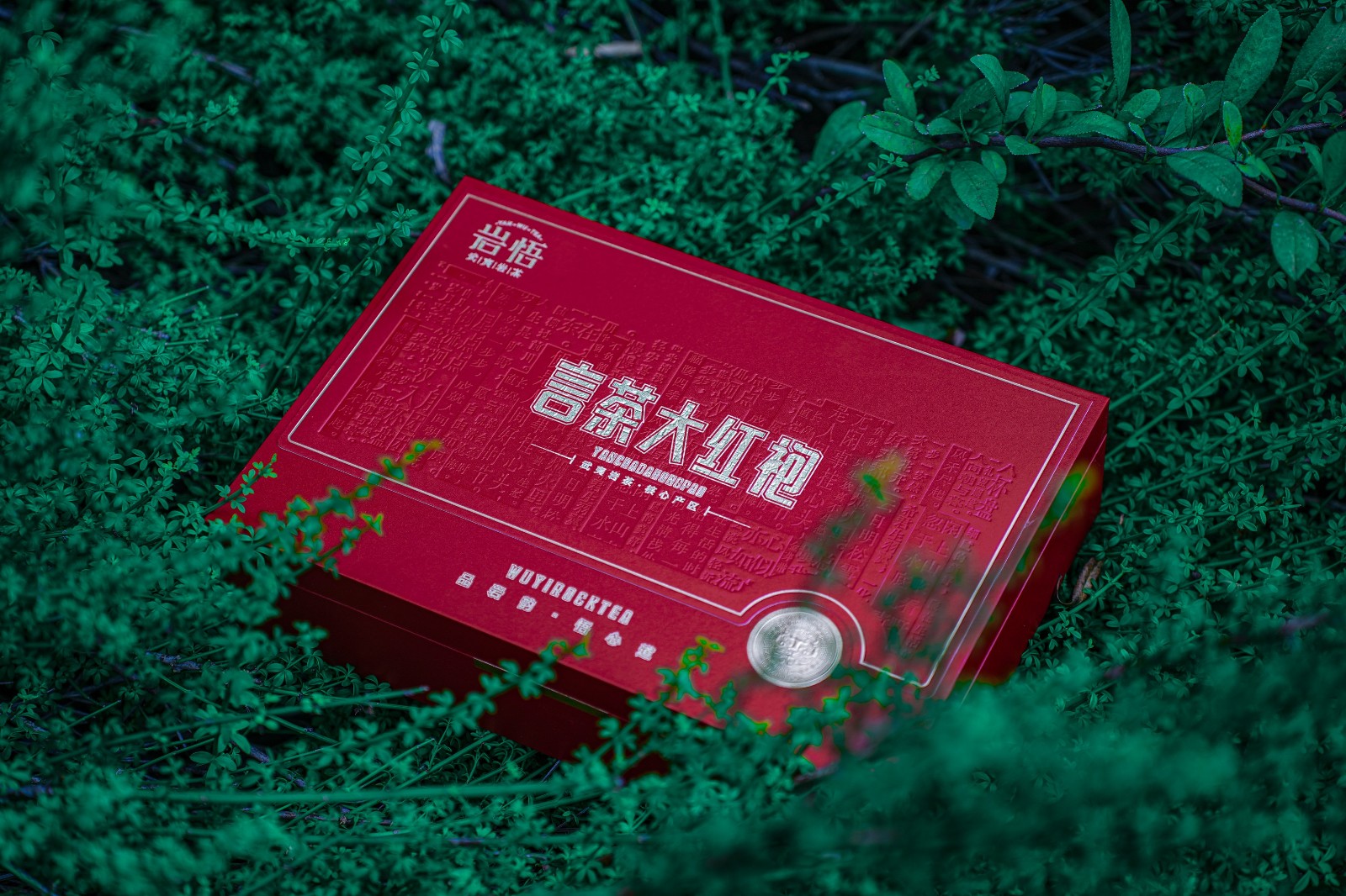 岩悟岩茶-言茶大红袍&言茶肉桂-产品拍摄