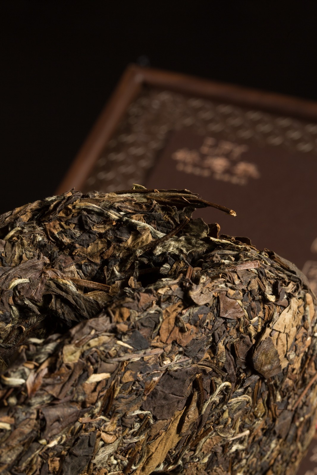 醉金汤老白茶-林培养